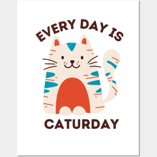 Every Day Is Caturday Posters and Art